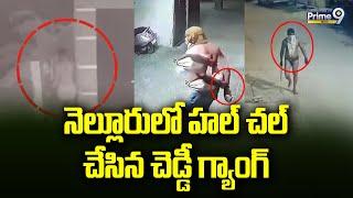 నెల్లూరులో హల్ చల్ చేసిన చెడ్డీ గ్యాంగ్ | Nellore District Cheddi Gang | Prime9 News