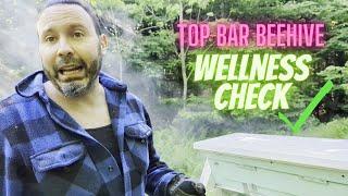 Top Bar Beehive Wellness Check [We go right inside]