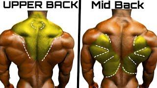 Top 4 Middle Back Upper Back Workout to Build Wide Back Workout - Wide Back