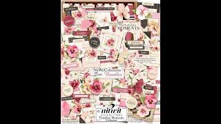 Vintage, Heartfelt Scrapbooking & Card Making Kit | Timeless Moments Collection - Nitwit Collections