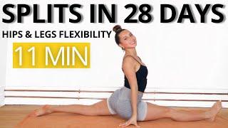 GET YOUR SPLITS FAST / Hips & Legs Flexibility | 28 DAY SPLITS CHALLENGE | 11 MIN | Daniela Suarez