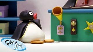 Ding Dong! Pingu is Ringing!  | Pingu - Official Channel | Cartoons For Kids