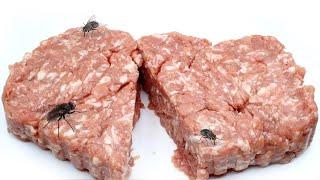 Timelapse : MINCED MEAT with FLY MAGGOTS