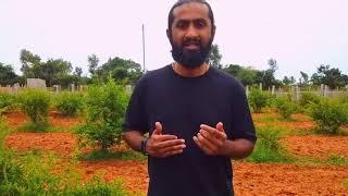 Movies based on Agriculture & Farming | Export Dharshana - English