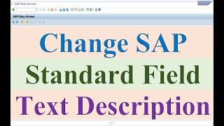 How to Change SAP Standard Field TEXT Description