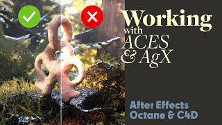 After Effects Workflow for AgX & ACES