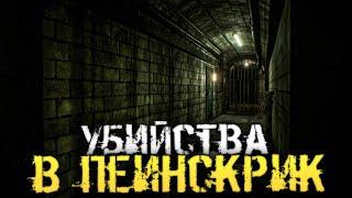 ТАИНСТВЕННЫЕ УБИЙСТВА В ГОРОДКЕ ПЕИНСКРИК - The Painscreek Killings [Стрим, Прохождение]