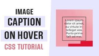 Image Caption on Hover | Image Hover Effects CSS | CSS Tutorial