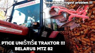 PTICE UNIŠTILE TRAKTOR BRELARUS MTZ 82, PROBLEMI NEURIBANI PLUGOVA...