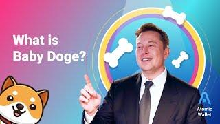 What is Baby Doge Coin?