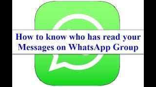How to Know Who has Read your Messages on  WhatsApp Group on iPhone or iPad