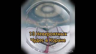 13 чудес в КОРАНЕ.