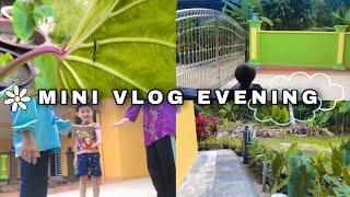 MY MINI VLOG IN THE EVENING  || MALAYSIA 