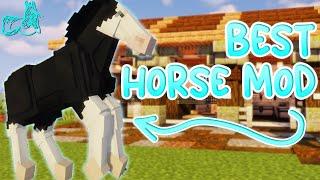 Trying SWEM! - Best Horse Mod | Minecraft