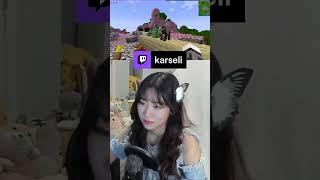 Karseli is such a Nispa | karseli on #Twitch