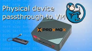 Passthrough physical disk to Virtual Machine - Proxmox tutorial series