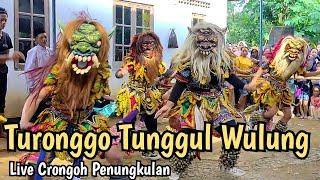 Turonggo Tunggul Wulung Live Crongoh Penungkulan