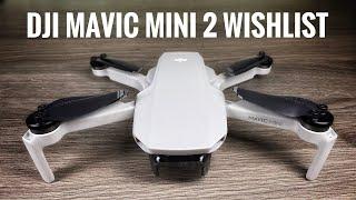 DJI Mavic Mini 2 Is Coming? My New Features Wish List