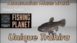 Unique Trahira - Amazonian Maze Brazil - Fishing Planet Guide