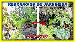 Hermosa RENOVACION de JARDINERA en mi patio | Gio de la Rosa