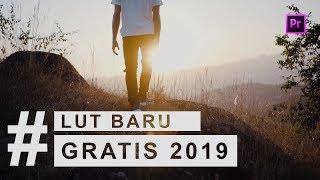 LUTs BARU JULI 2019 with Adobe Premiere Pro CC 2018