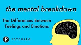 The Differences Between Feelings and Emotions