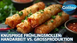 72000 vs 300 Frühlingsrollen pro Tag: Traditionelle Handarbeit vs. Großproduktion