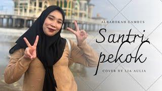 Santri Pekok - Cover Lia Aulia - Al Barokah Gambus