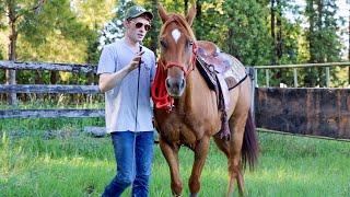 How To Lead A Horse The RIGHT way! (Like A PRO!) Fix Horse dragging you around!