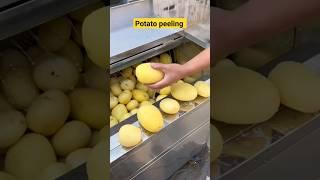 machine design for potato peeling #automation #machinedesign #mechanicalengineering #productionline