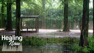 White Noise of Nature in a Beautiful Forest Shelter - Rain Sounds for Deep Sleep, Relaxation, Focus