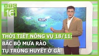 Thời tiết nông vụ 18/11: Bắc Bộ mưa rào, cảnh báo bệnh tụ trùng huyết ở gà | VTC16