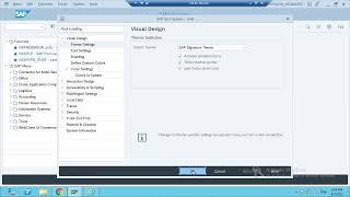 change SAP GUI visual theme
