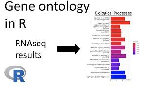 RNAseq analysis | Gene ontology (GO) in R