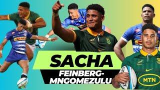 Best Of Springbok Sacha Feinberg-Mngomezulu || Springboks Golden Goose