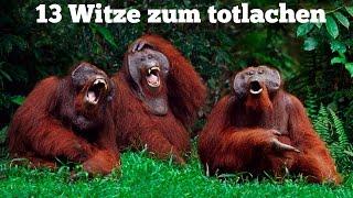 Die besten Witze zum TOTLACHEN!!