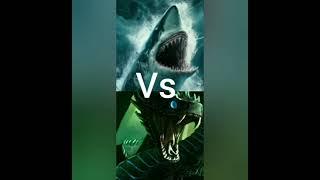 Bloop vs giant snake, Mega Megalodon, Eel monster, Megalodon #shorts