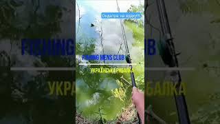 Ондатра на вудку!!! #рибалка #ондатра #fishing #shorts #muskrat