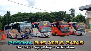 Sugeng Rahayu Kacang Atom Dan Kawan Kawannya | Hunting Bus Eka, Mira, Sumber Group