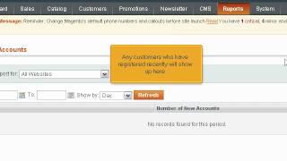 How to View Reports in Magento