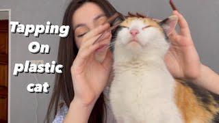 Asmr tapping on plastic cat #2