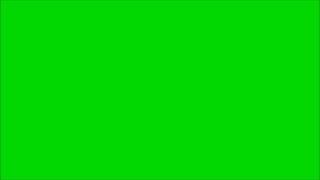 GREEN SCREEN 5