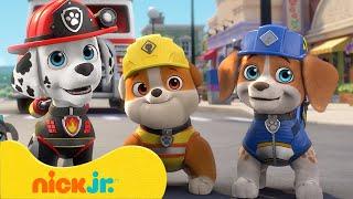 Rubble & Crew | PAW Patrol treffen die Crew! | Nick Jr. Deutschland