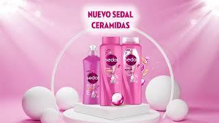 Brilla con tu look y estilo . Con el nuevo Sedal® Ceramidas.