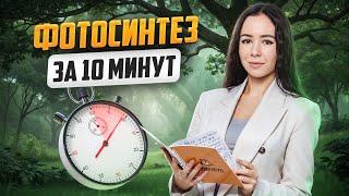 Фотосинтез на ЕГЭ по Биологии с нуля за 10 минут | Умскул