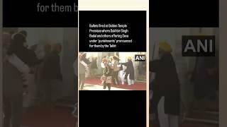 Man Opens Fire at Akali Dal Leader Sukhbir Singh Badal At Golden Temple | Punjab