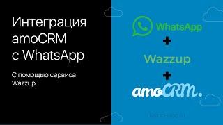 Интеграция amoCRM с WhatsApp с помощью сервиса Wazzup