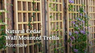 Natural Cedar Wall Mounted Trellis: Assembly