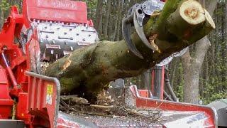 World's Amazing Modern Wood Chipper Machine Working - Extreme Wood Processor Big Tree Shredder Easy