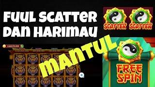 room panda terbaru | full scatter full harimau